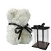 Beauty And The Beast Small Teddy Bear White Roses